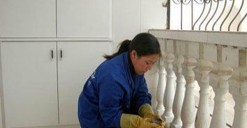 诚信家政服务部,全心全意的保洁服务让生活一尘不染